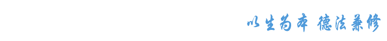 世俱杯官方用球